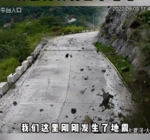 “好人救了好人”，这是今年最震撼的刷屏602 / 作者:儿时的回忆 / 帖子ID:299688