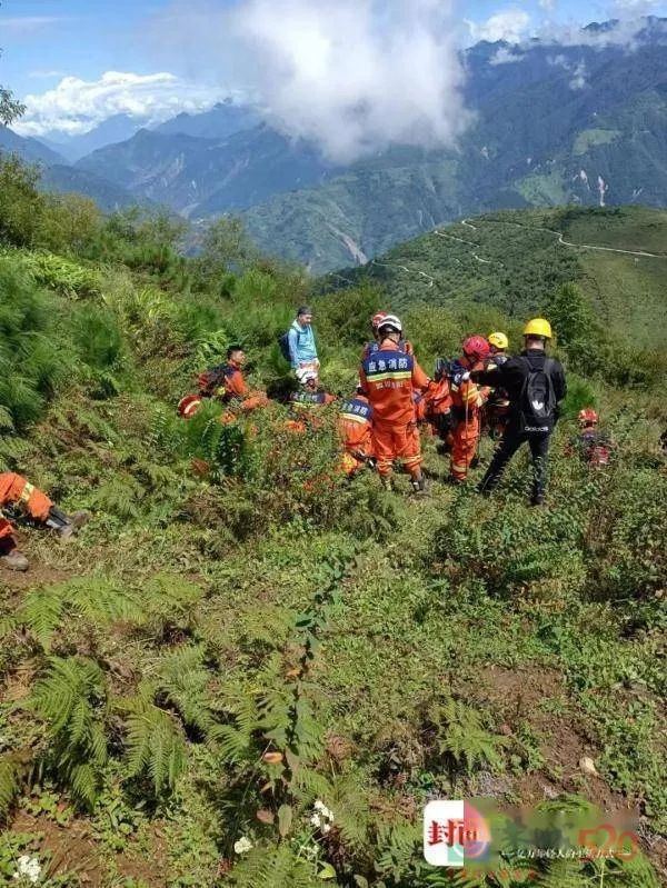 “好人救了好人”，这是今年最震撼的刷屏960 / 作者:儿时的回忆 / 帖子ID:299688