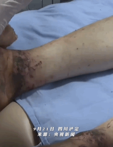 “好人救了好人”，这是今年最震撼的刷屏327 / 作者:儿时的回忆 / 帖子ID:299688