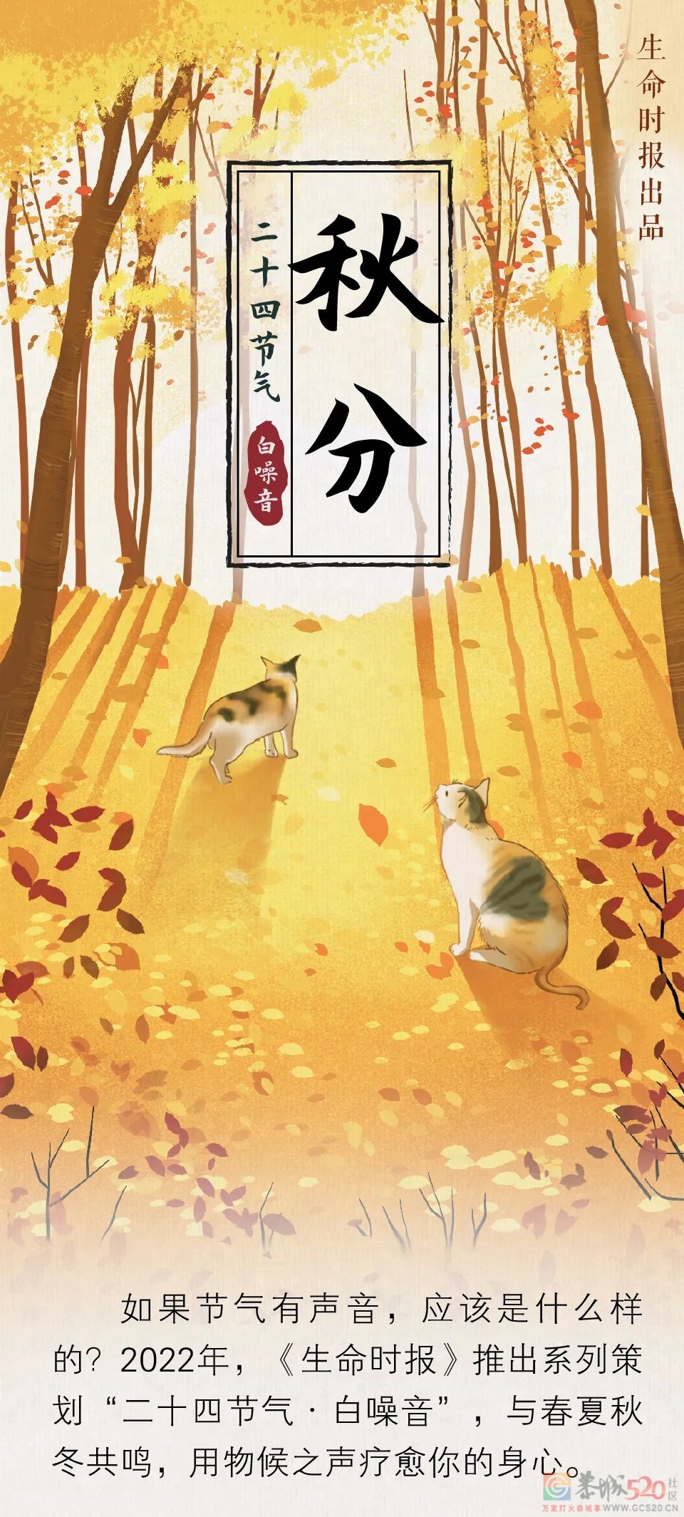 秋分：秋踩着落叶来了201 / 作者:健康小天使 / 帖子ID:299691