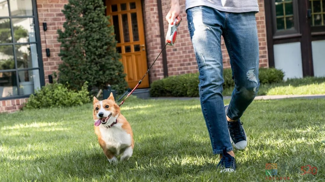 年轻人假期搞钱上瘾：当伴娘每场400，喂猫一周赚5000322 / 作者:儿时的回忆 / 帖子ID:299984