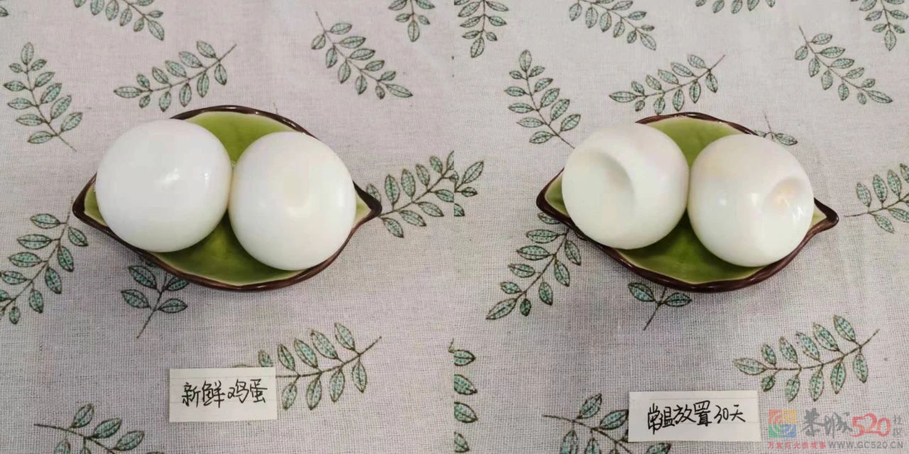把一盒「鸡蛋」放进冰箱，需要几步？653 / 作者:健康小天使 / 帖子ID:300005