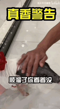 这些爷爷奶奶玩B站，就没年轻人什么事了565 / 作者:儿时的回忆 / 帖子ID:300043