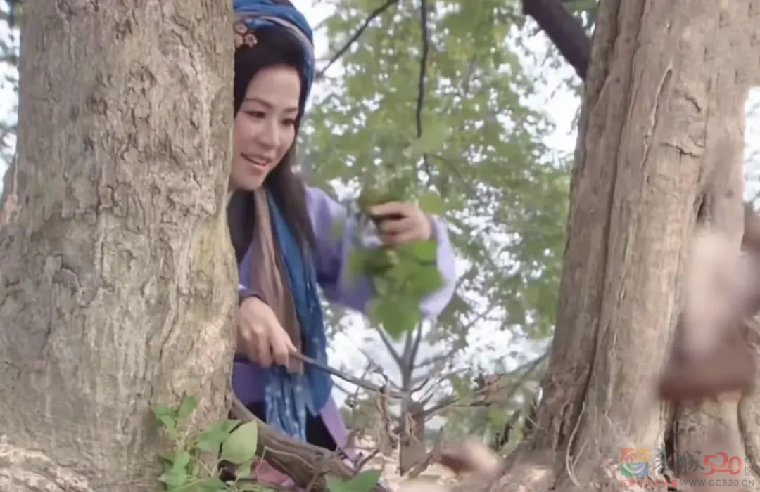 4分烂剧女主，突然火成了“劝退恋爱脑”大师346 / 作者:该做的事情 / 帖子ID:300523