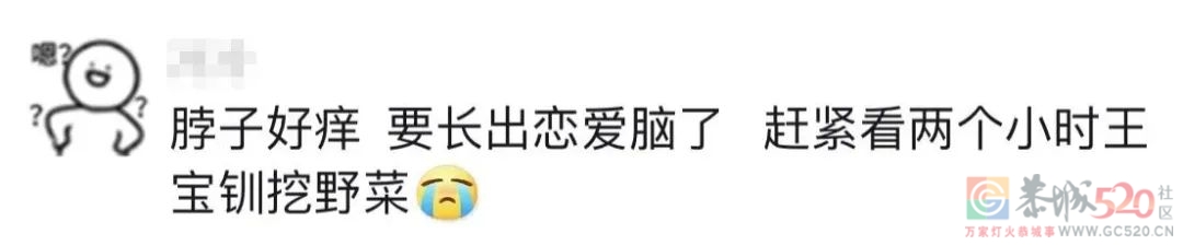 4分烂剧女主，突然火成了“劝退恋爱脑”大师33 / 作者:该做的事情 / 帖子ID:300523