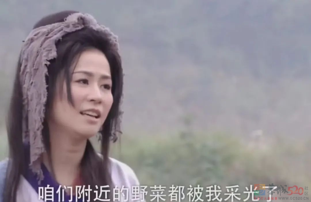 4分烂剧女主，突然火成了“劝退恋爱脑”大师649 / 作者:该做的事情 / 帖子ID:300523