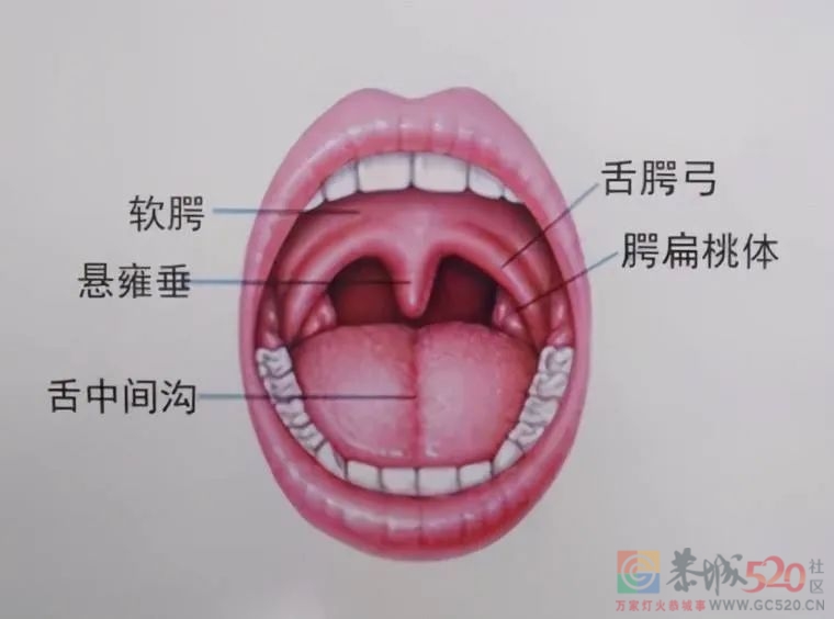 每一次扁桃体发炎，都是对全身免疫的“挑衅”164 / 作者:健康小天使 / 帖子ID:300620