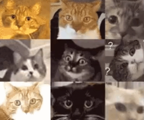 第一批当老师的95后，已经提前苍老了350 / 作者:儿时的回忆 / 帖子ID:300657