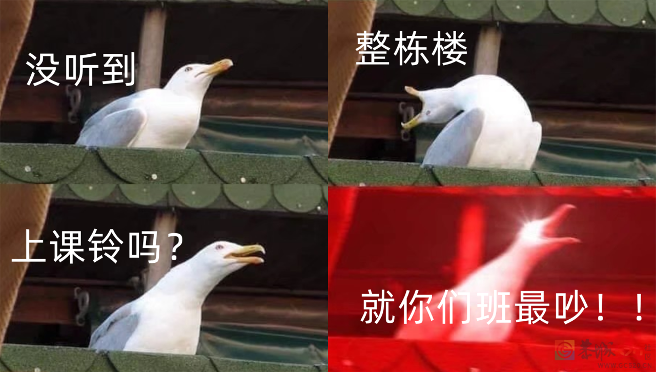 第一批当老师的95后，已经提前苍老了410 / 作者:儿时的回忆 / 帖子ID:300657