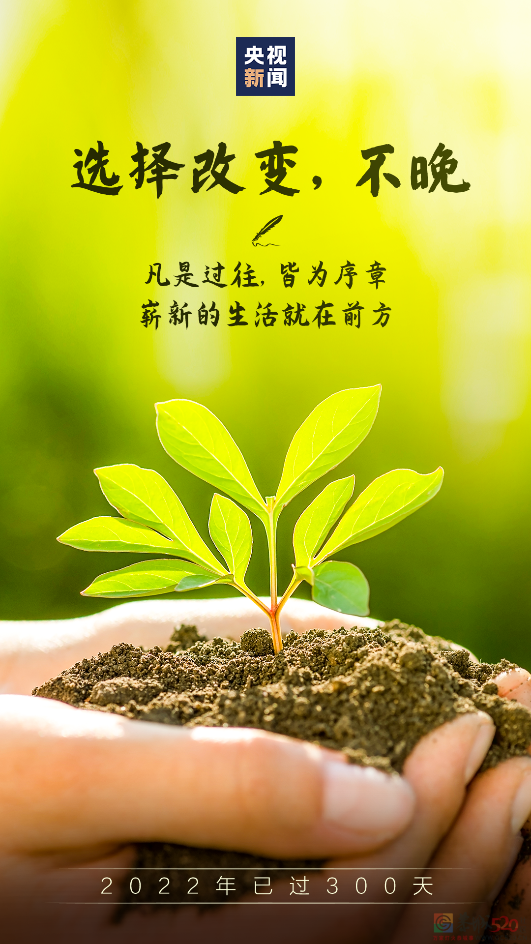 2022年已过300天，给自己再加把劲儿！794 / 作者:登山涉水 / 帖子ID:300775