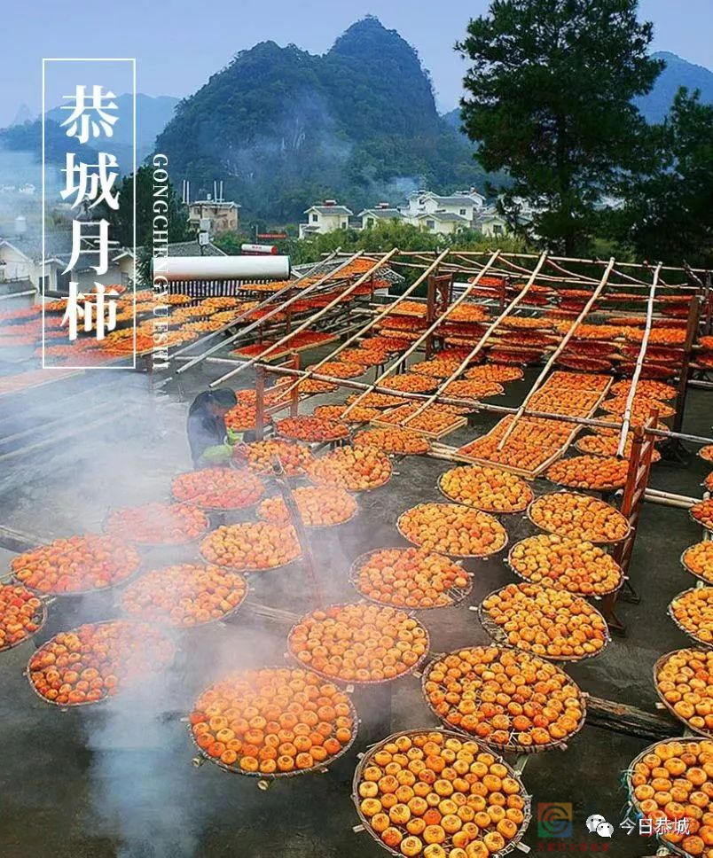 第十九届桂林恭城月柿节活动总体方案来了722 / 作者:论坛小编01 / 帖子ID:300786