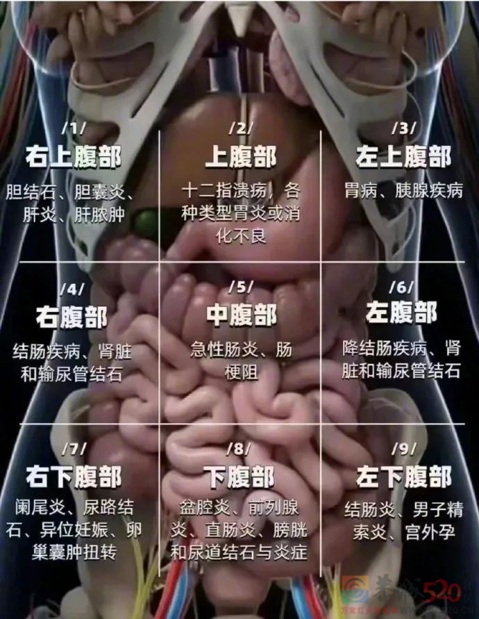 这个部位挺“倒霉”的，不管啥病都可能跟着「疼」794 / 作者:健康小天使 / 帖子ID:300812
