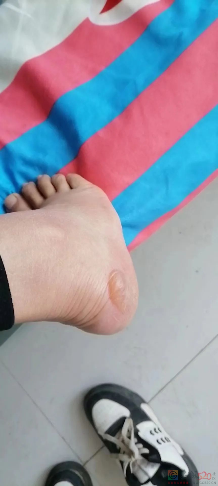 郑州富士康为何留不住返乡者的脚步？401 / 作者:儿时的回忆 / 帖子ID:300974