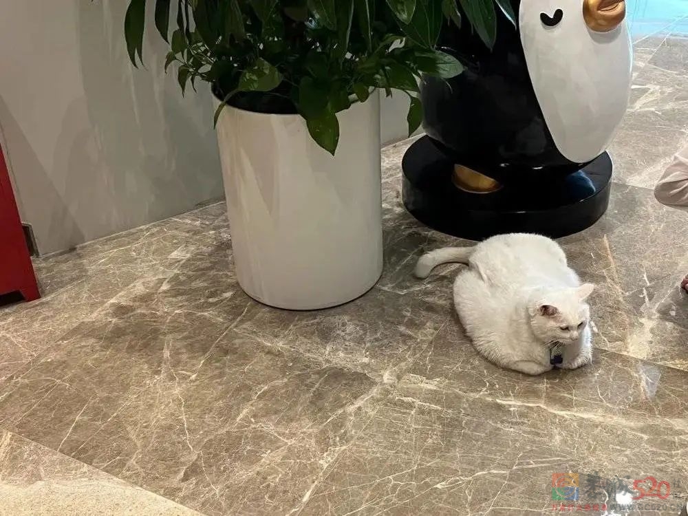 第一批开始怀念大厂的年轻人455 / 作者:儿时的回忆 / 帖子ID:300998