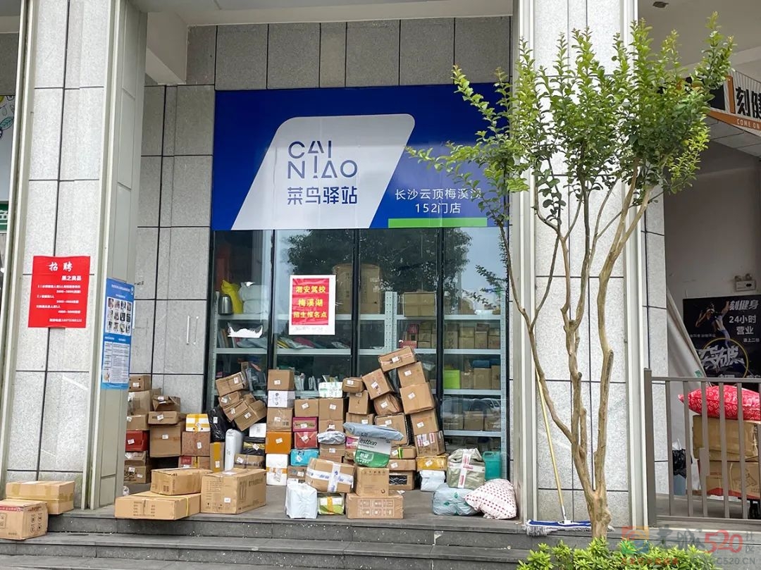 你的双十一包裹收到了吗？285 / 作者:儿时的回忆 / 帖子ID:301029