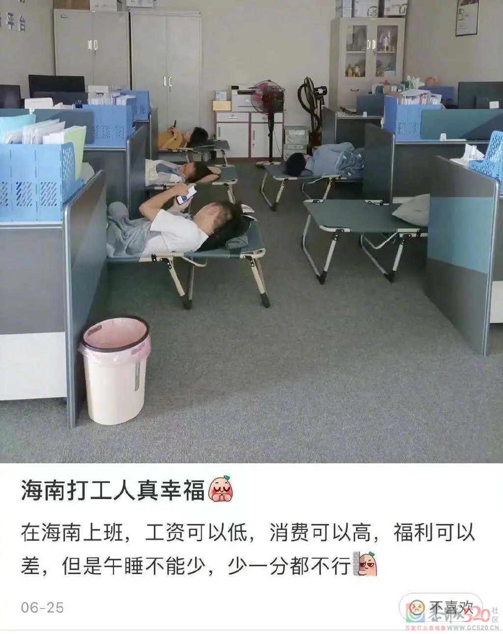 工 位 没 床，公 司 要 黄273 / 作者:儿时的回忆 / 帖子ID:301066