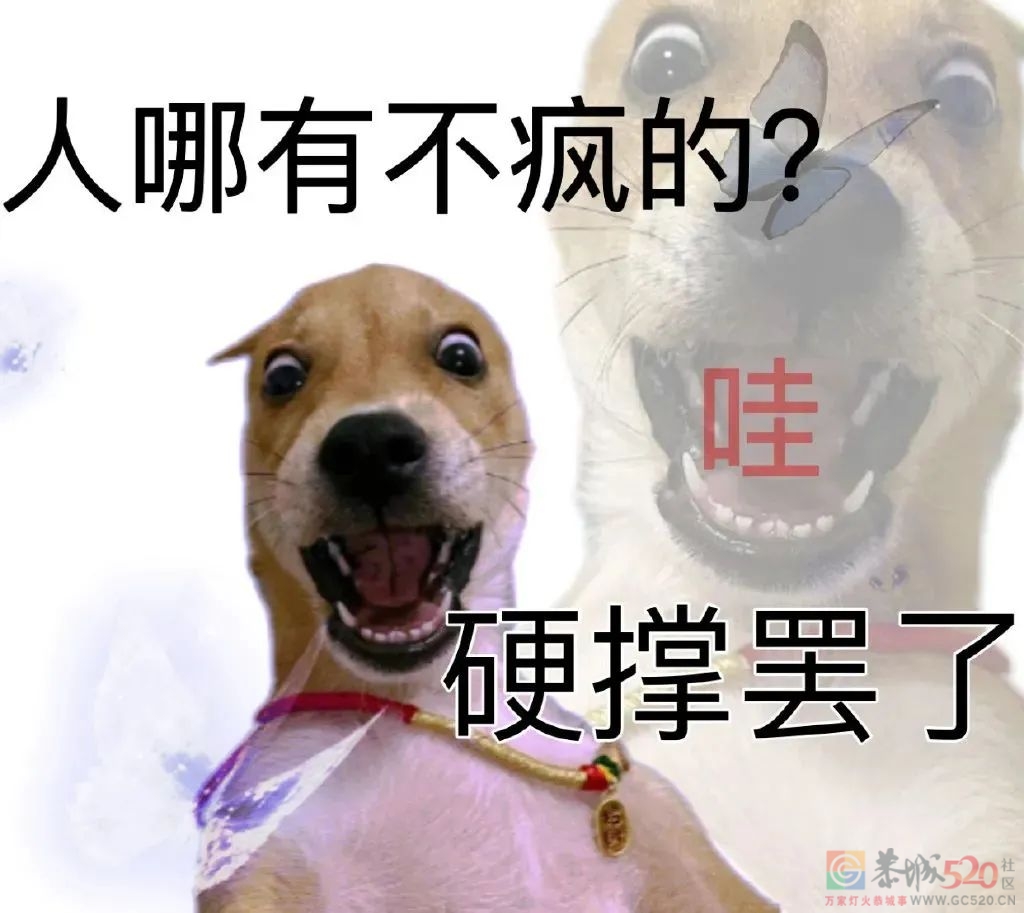工 位 没 床，公 司 要 黄870 / 作者:儿时的回忆 / 帖子ID:301066