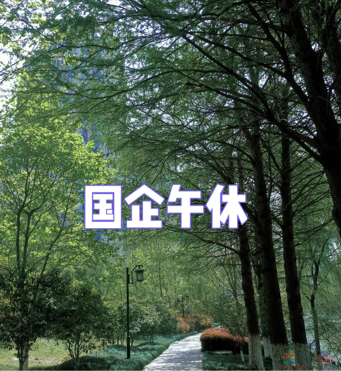 工 位 没 床，公 司 要 黄905 / 作者:儿时的回忆 / 帖子ID:301066