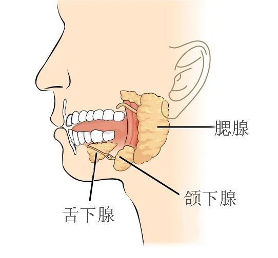 睡前经常口干、口渴，可能是6种病盯上你了336 / 作者:健康小天使 / 帖子ID:301067