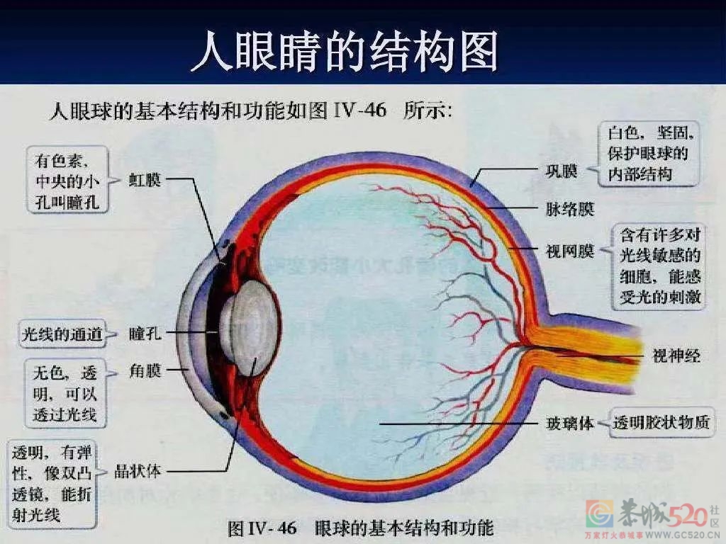 眼前总有黑影飘的人：你的视网膜可能“裂”了743 / 作者:健康小天使 / 帖子ID:301202