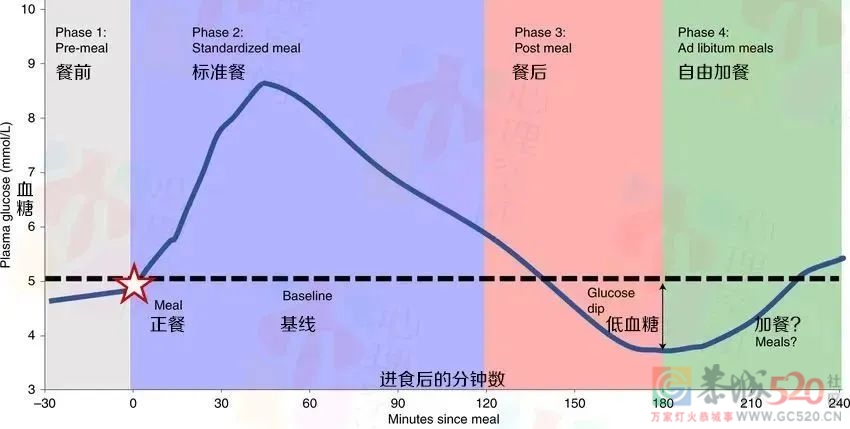 吃完就饿的人，我劝你先筛查「血糖」722 / 作者:健康小天使 / 帖子ID:301404