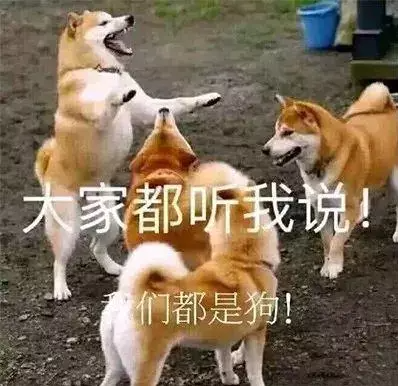 租房越破，偷听来的邻居八卦越劲爆912 / 作者:儿时的回忆 / 帖子ID:301449