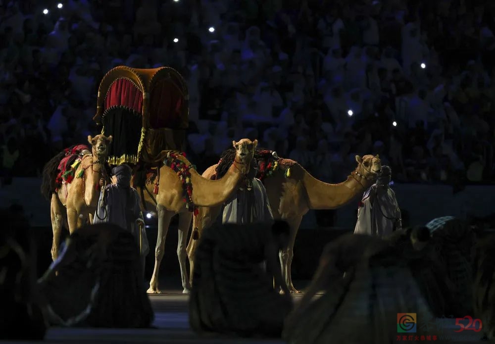 世界杯开幕式高清大图来了！405 / 作者:登山涉水 / 帖子ID:301610