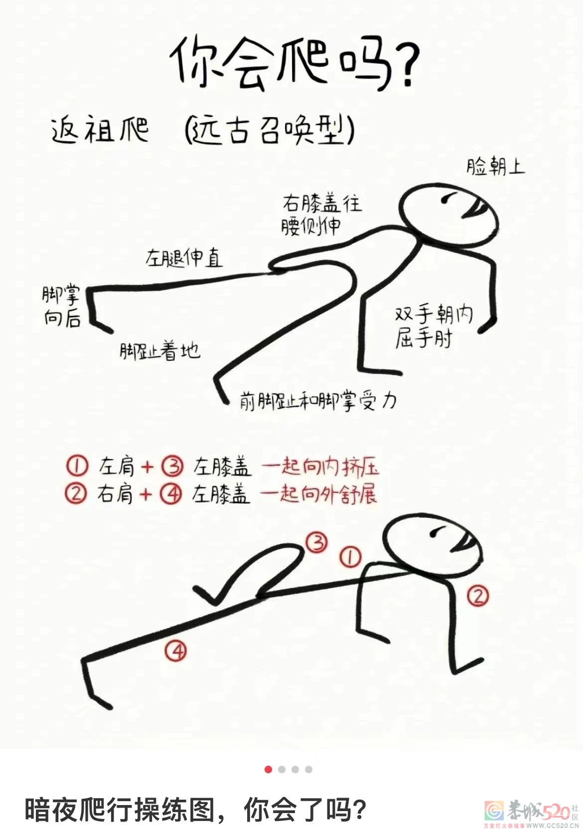 突然爆火的“爬行锻炼”，是个身体友好型动作吗？760 / 作者:健康小天使 / 帖子ID:301816