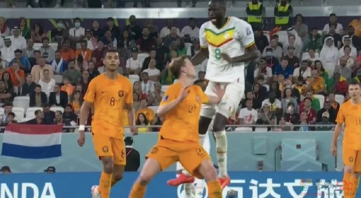 为世界杯押5块钱，就能让每个群聊血雨腥风424 / 作者:儿时的回忆 / 帖子ID:301852