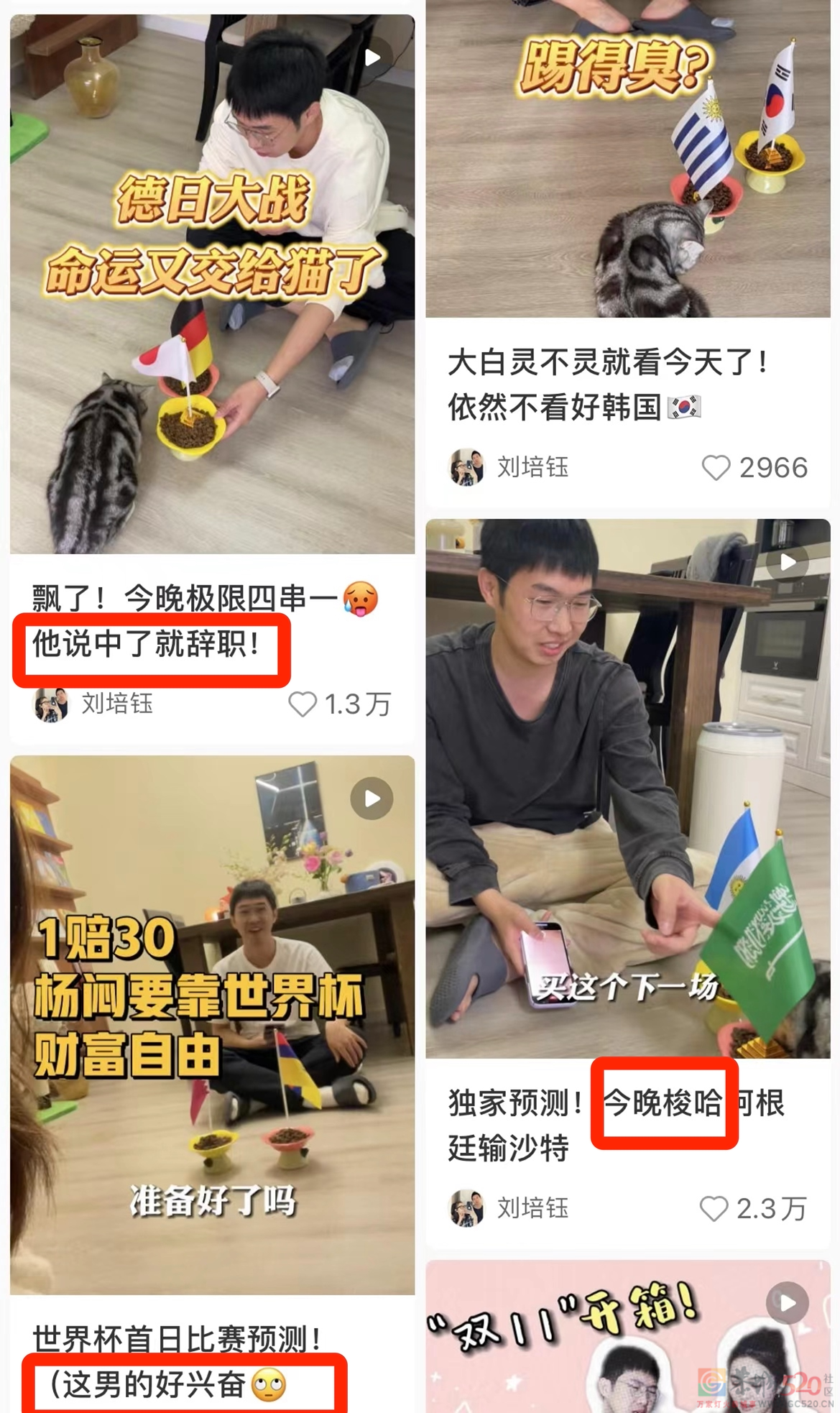为世界杯押5块钱，就能让每个群聊血雨腥风279 / 作者:儿时的回忆 / 帖子ID:301852