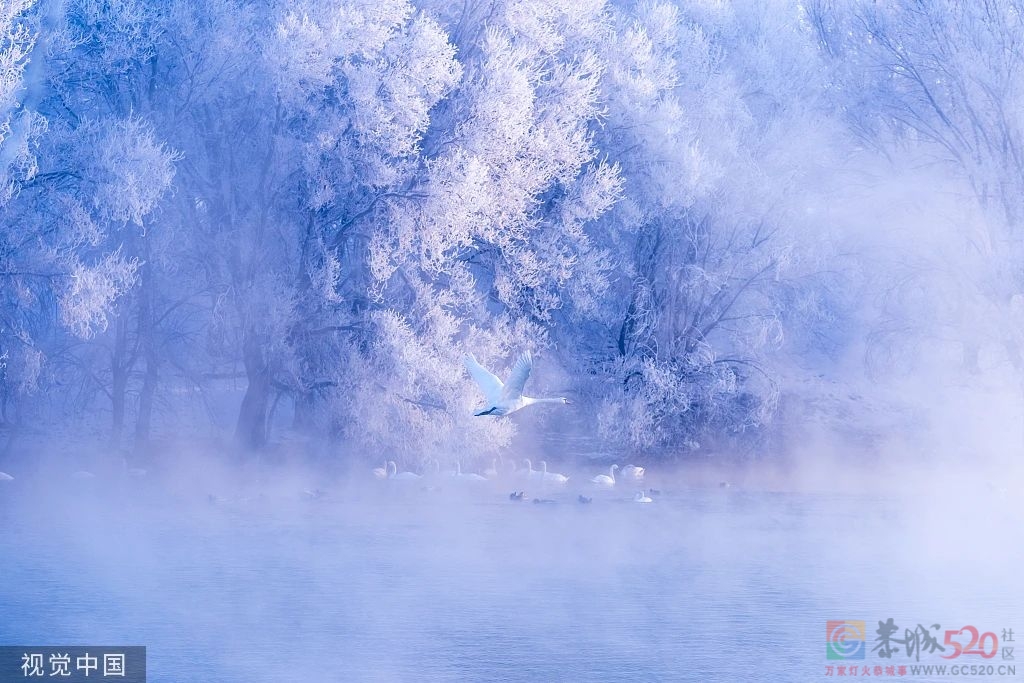 今日大雪323 / 作者:登山涉水 / 帖子ID:302135