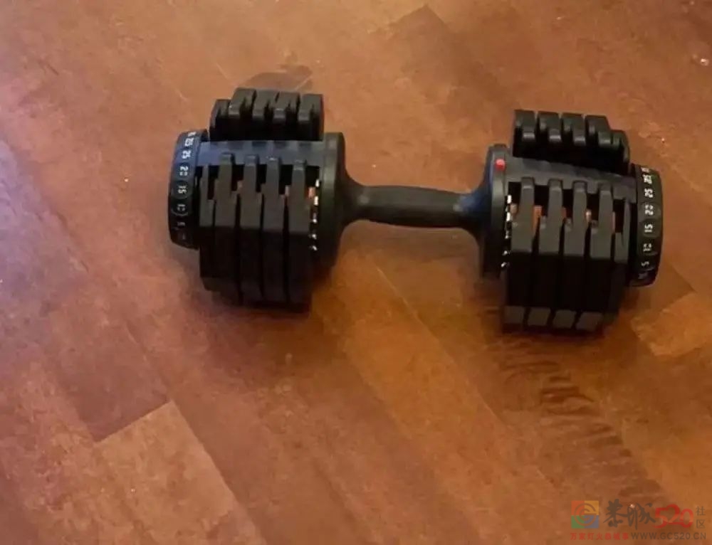 月入10万，但我是“蓝领中产”869 / 作者:儿时的回忆 / 帖子ID:302160