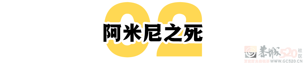 你向往的中东王室，是她们想要逃离的地狱462 / 作者:儿时的回忆 / 帖子ID:302832