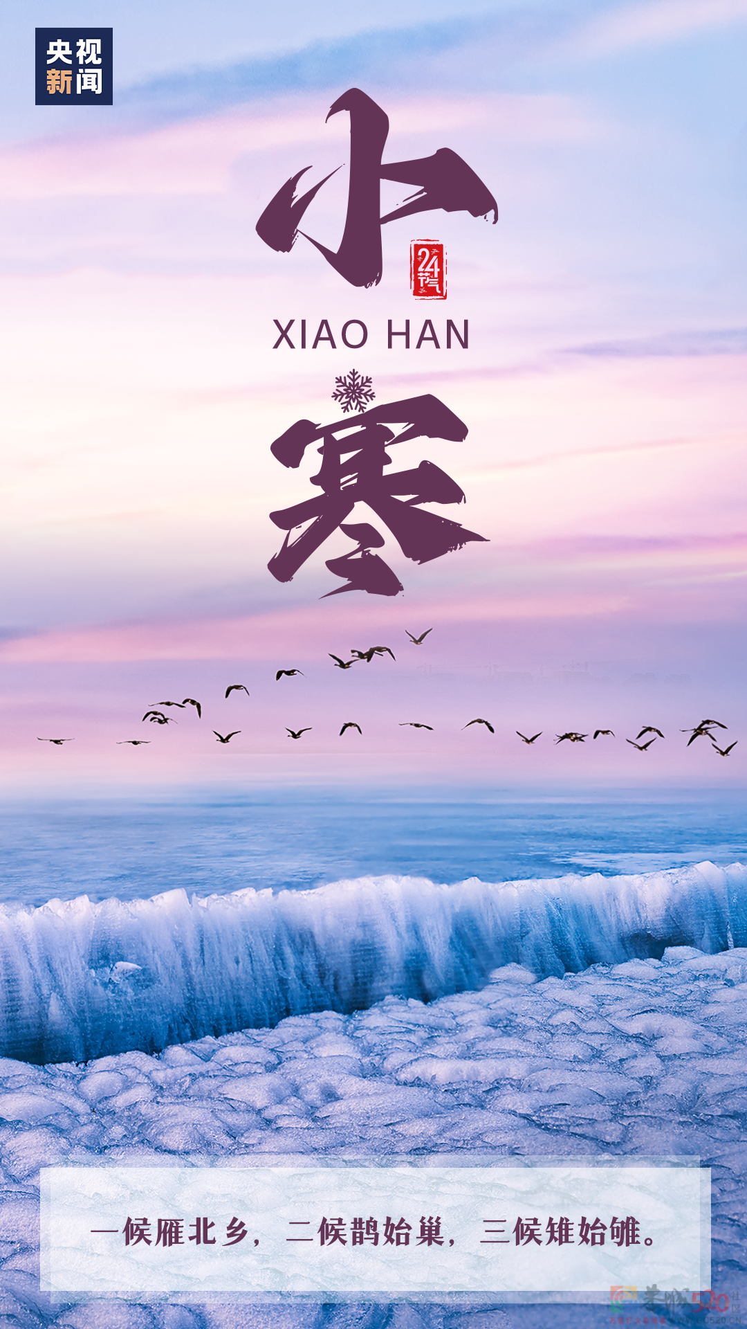 今日小寒72 / 作者:登山涉水 / 帖子ID:303044