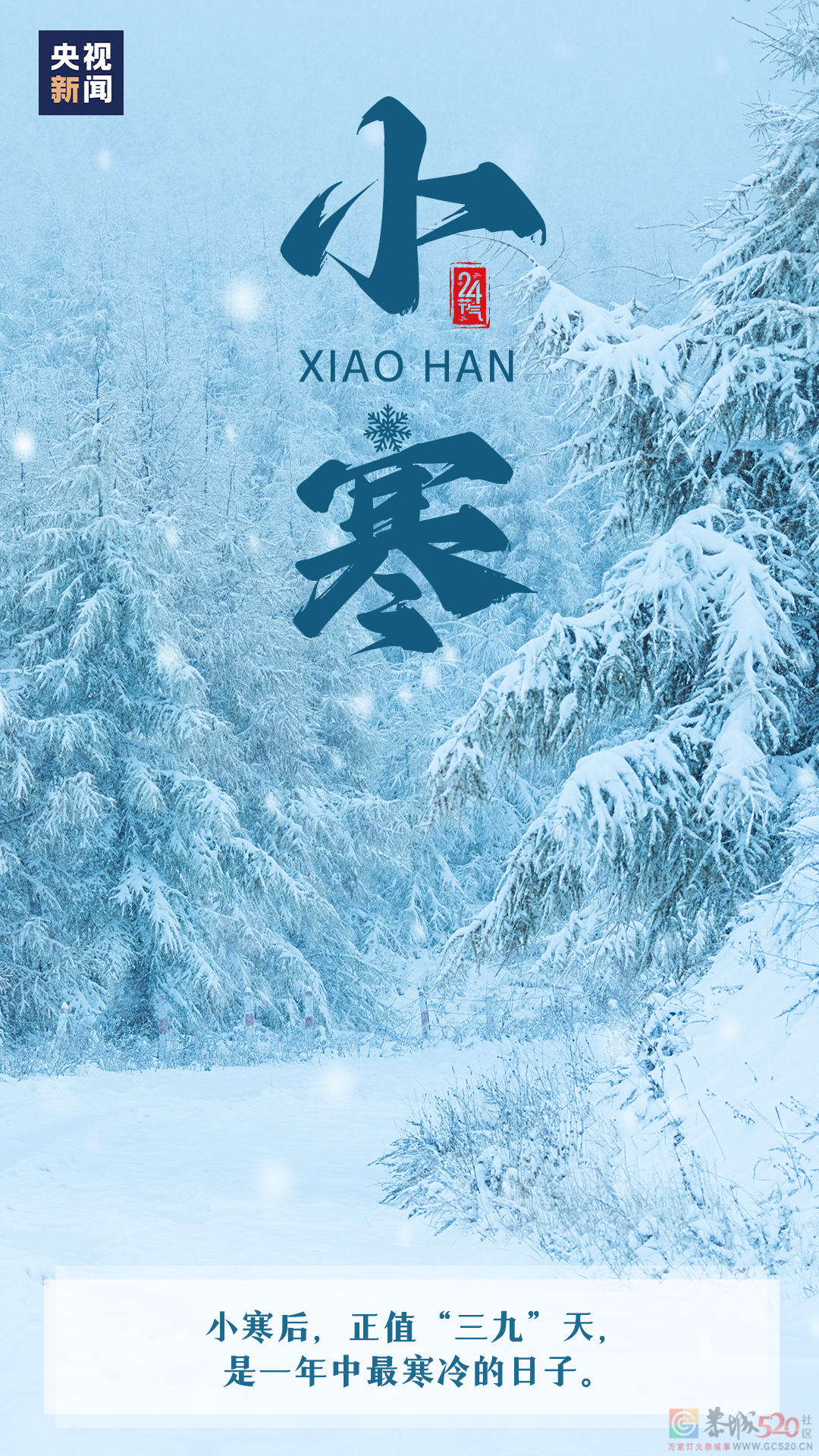 今日小寒339 / 作者:登山涉水 / 帖子ID:303044