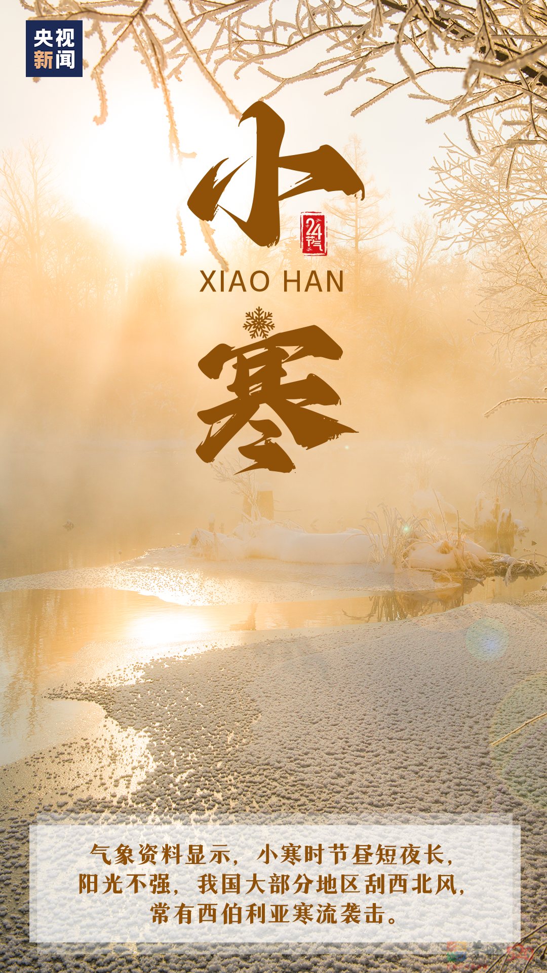 今日小寒544 / 作者:登山涉水 / 帖子ID:303044