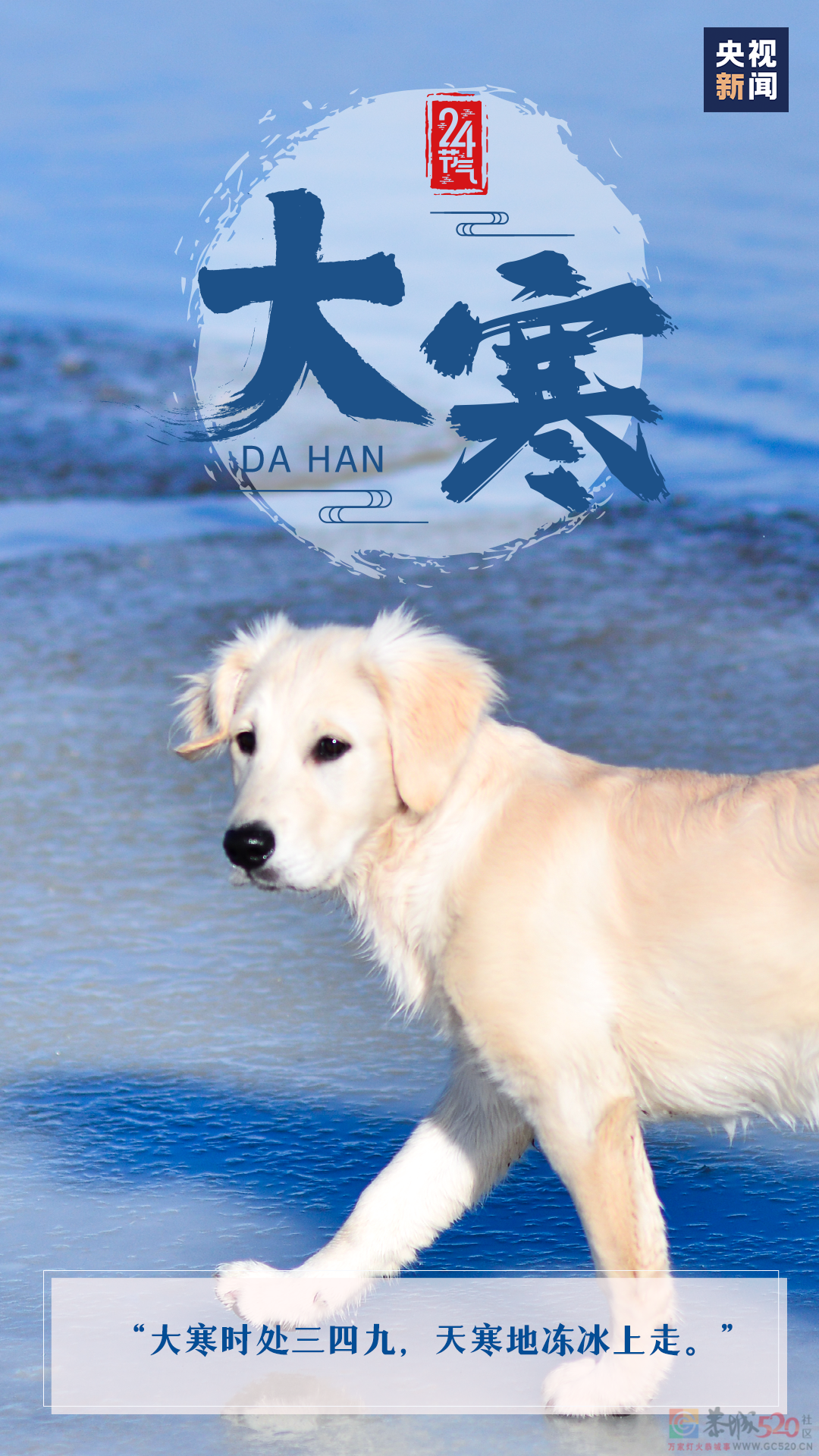 大寒至，待春归！762 / 作者:登山涉水 / 帖子ID:303505