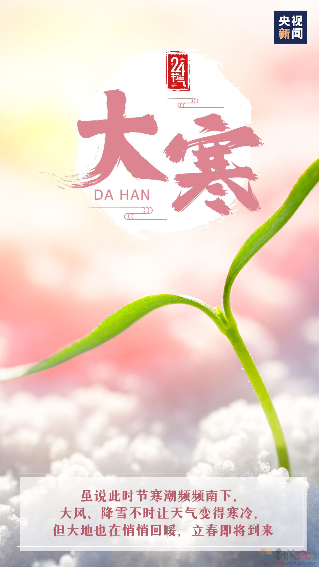 大寒至，待春归！131 / 作者:登山涉水 / 帖子ID:303505