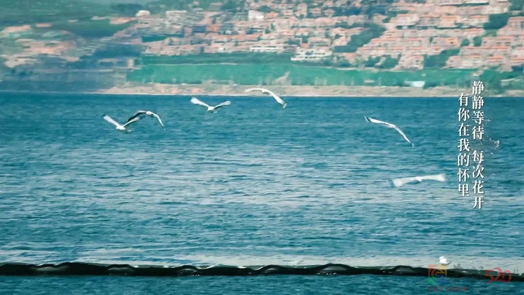 云南这次被挤爆，刘亦菲全责385 / 作者:儿时的回忆 / 帖子ID:303610