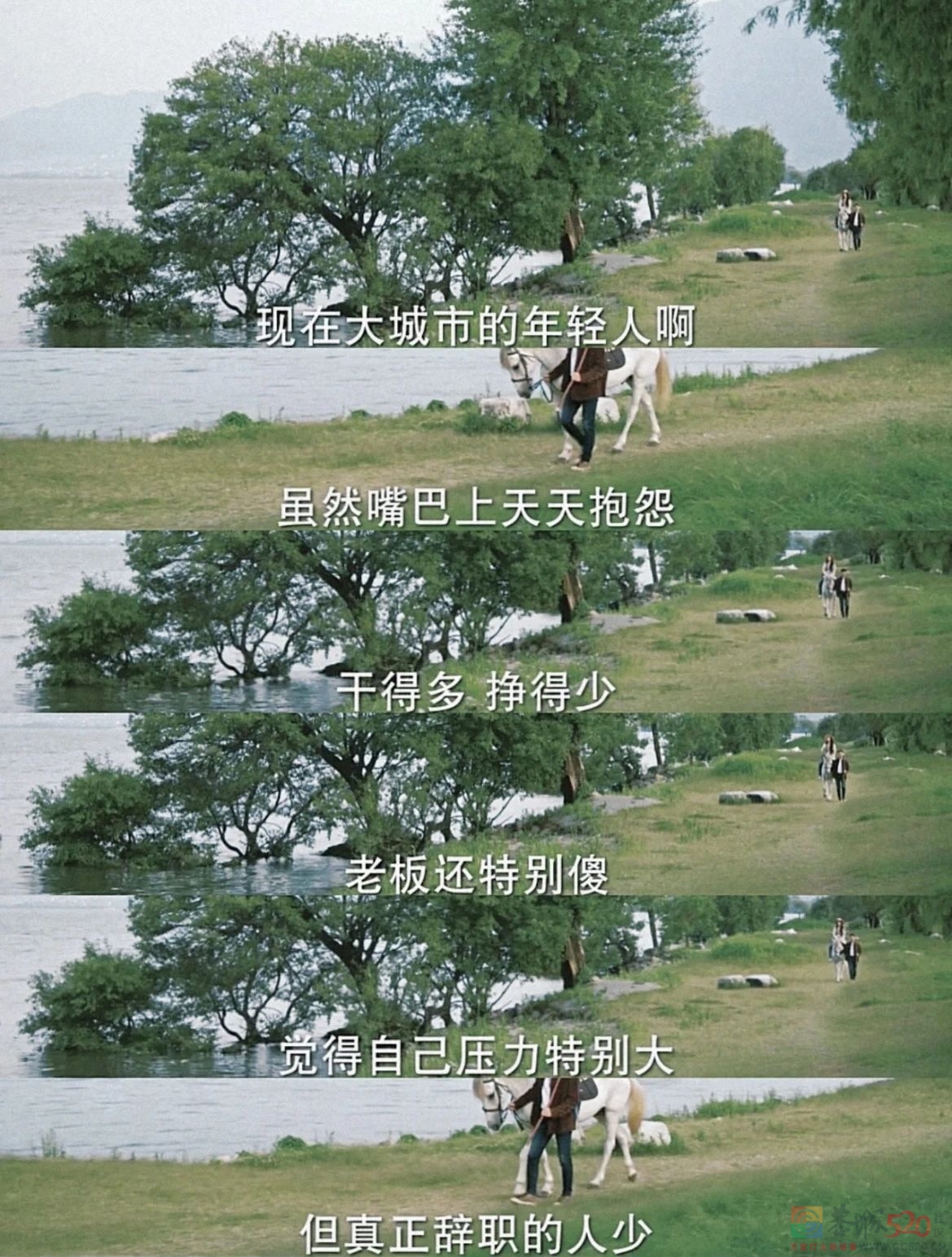 云南这次被挤爆，刘亦菲全责235 / 作者:儿时的回忆 / 帖子ID:303610