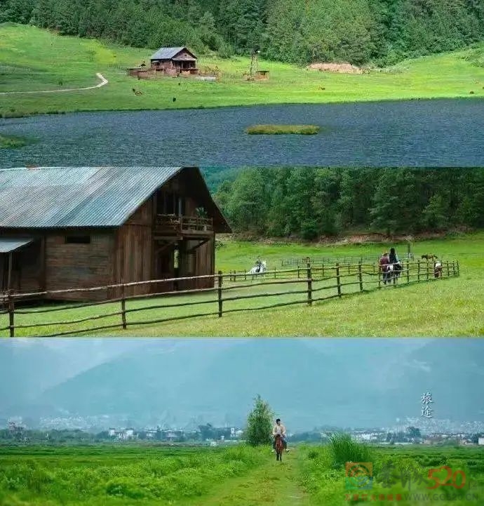 刘亦菲带火的云南小镇，后来怎么样了157 / 作者:儿时的回忆 / 帖子ID:303713