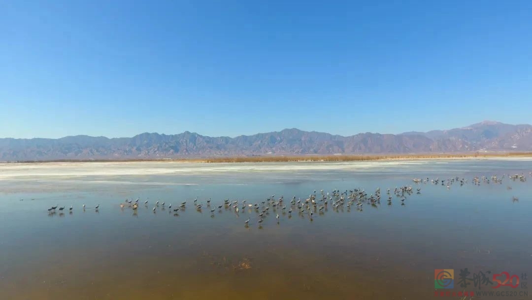 新增18处！快来看看是否有你家乡？469 / 作者:登山涉水 / 帖子ID:303897