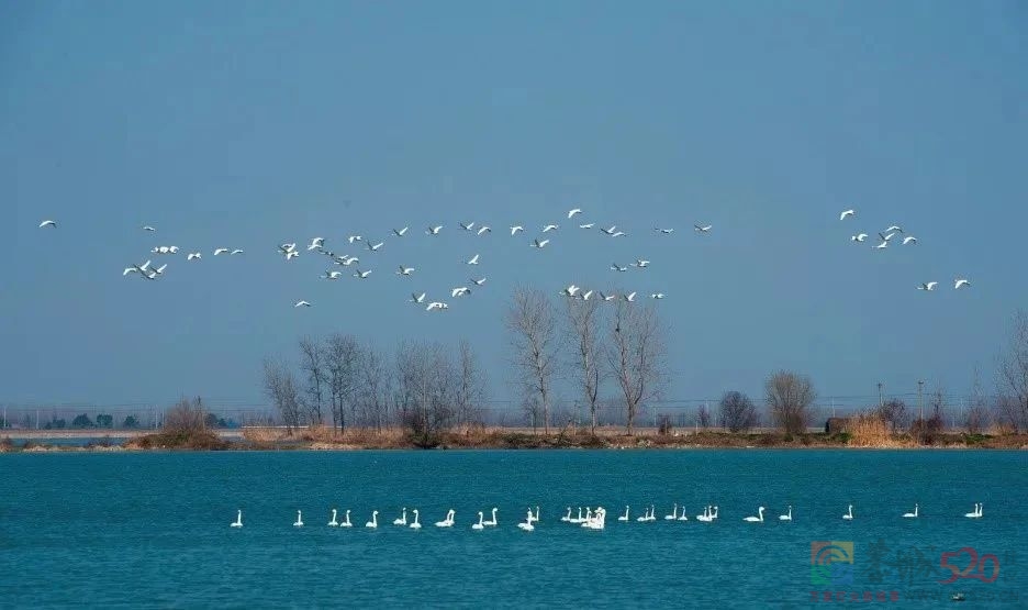 新增18处！快来看看是否有你家乡？732 / 作者:登山涉水 / 帖子ID:303897