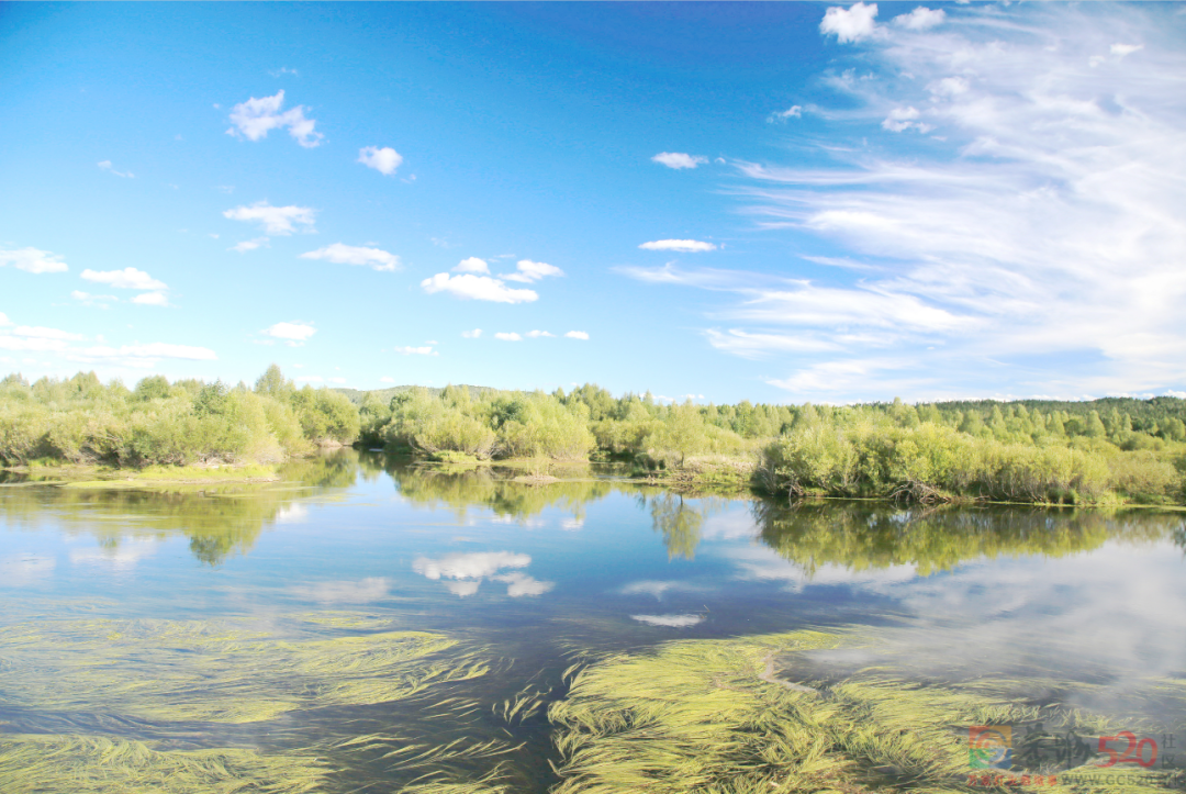 新增18处！快来看看是否有你家乡？286 / 作者:登山涉水 / 帖子ID:303897