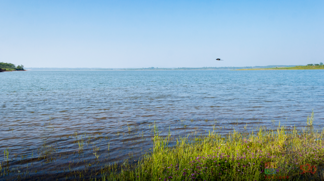 新增18处！快来看看是否有你家乡？376 / 作者:登山涉水 / 帖子ID:303897