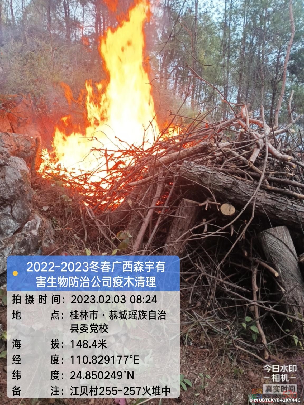 关于恭城镇黄家圳一山头出现火光的声明257 / 作者:论坛小编01 / 帖子ID:303918