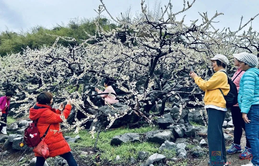 多彩非遗· 美丽乡村瑶族民俗文化节等你来打卡！413 / 作者:论坛小编01 / 帖子ID:304168