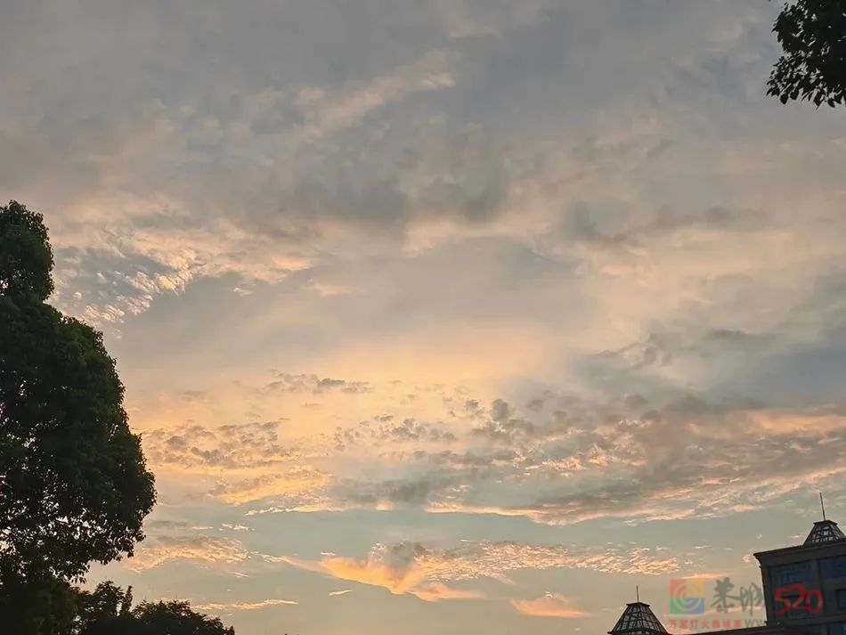 年近四十：习惯了父母催婚，一个人过情人节61 / 作者:儿时的回忆 / 帖子ID:304209