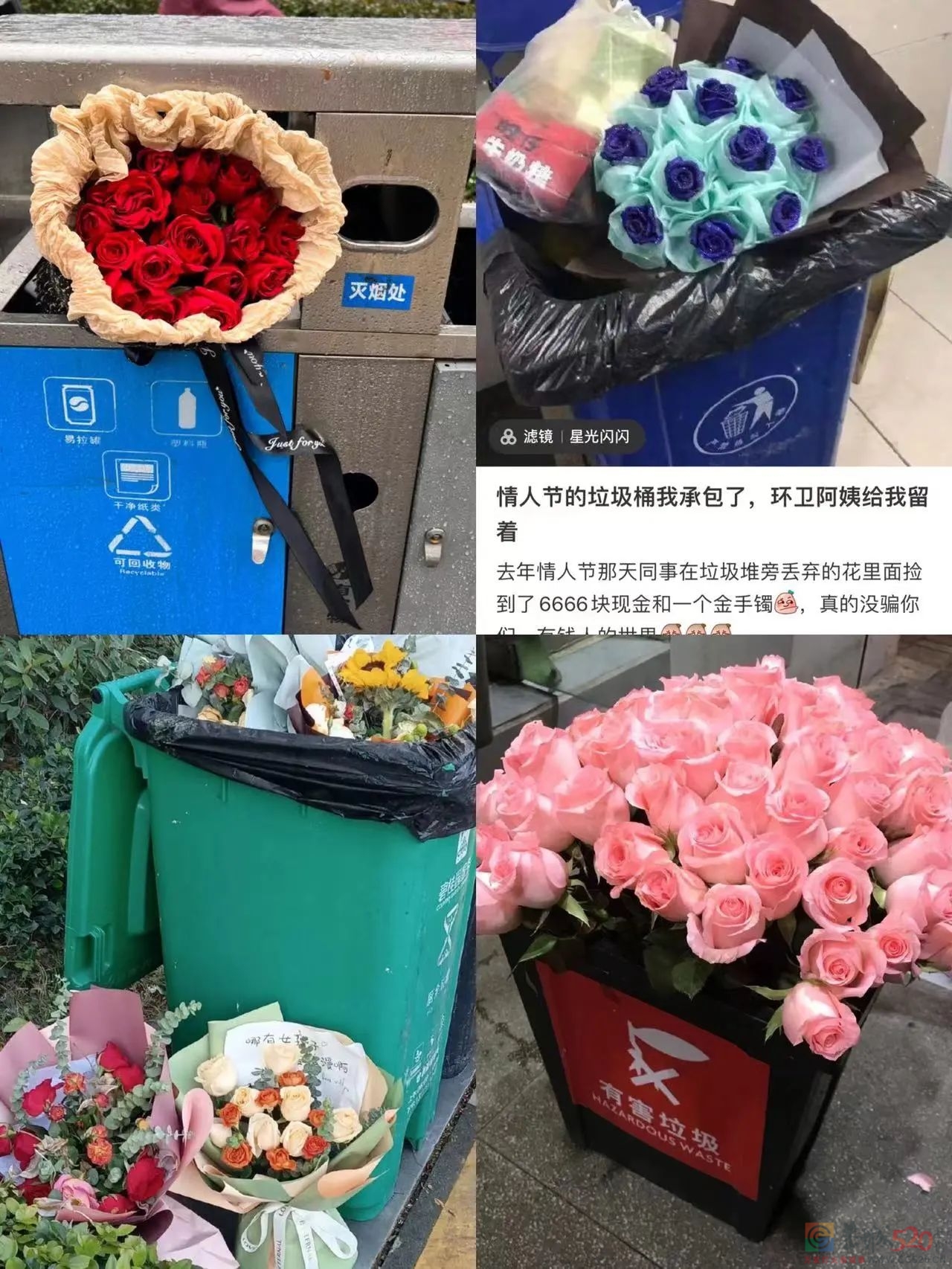 情人节的垃圾桶边，长满了等着捡漏的单身狗176 / 作者:儿时的回忆 / 帖子ID:304270