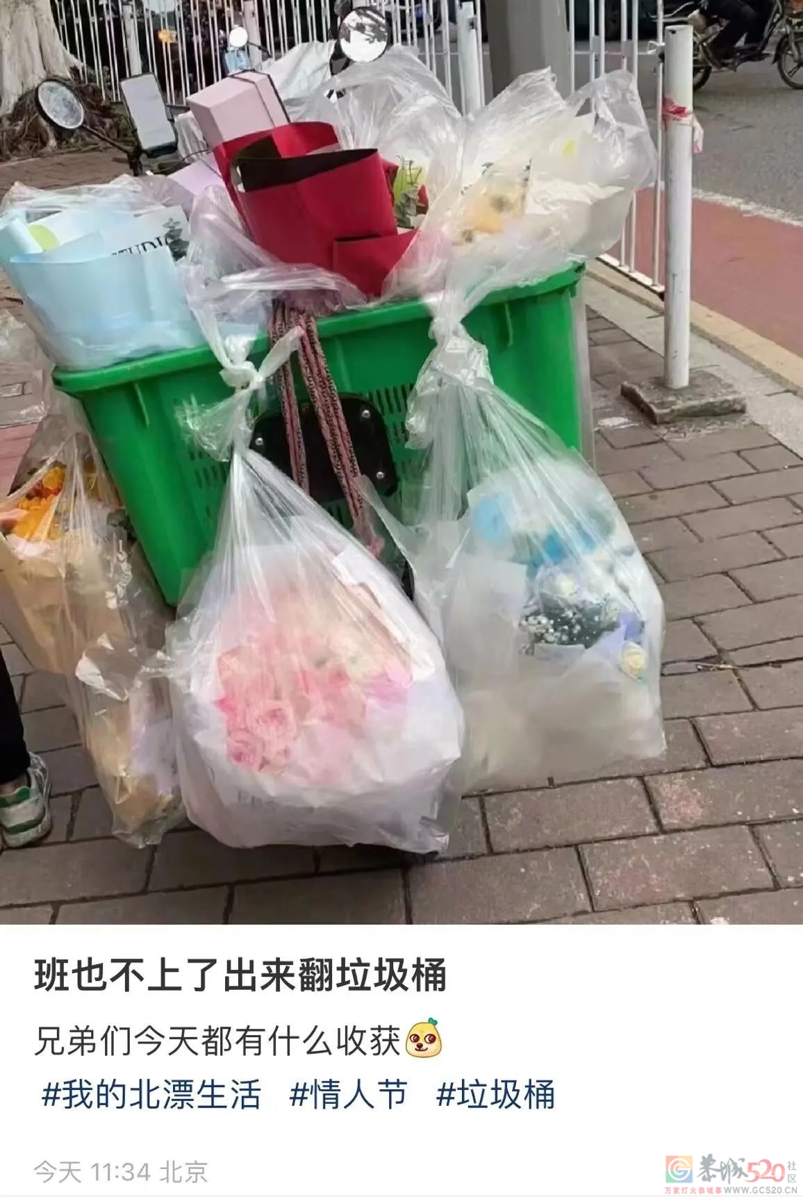 情人节的垃圾桶边，长满了等着捡漏的单身狗186 / 作者:儿时的回忆 / 帖子ID:304270